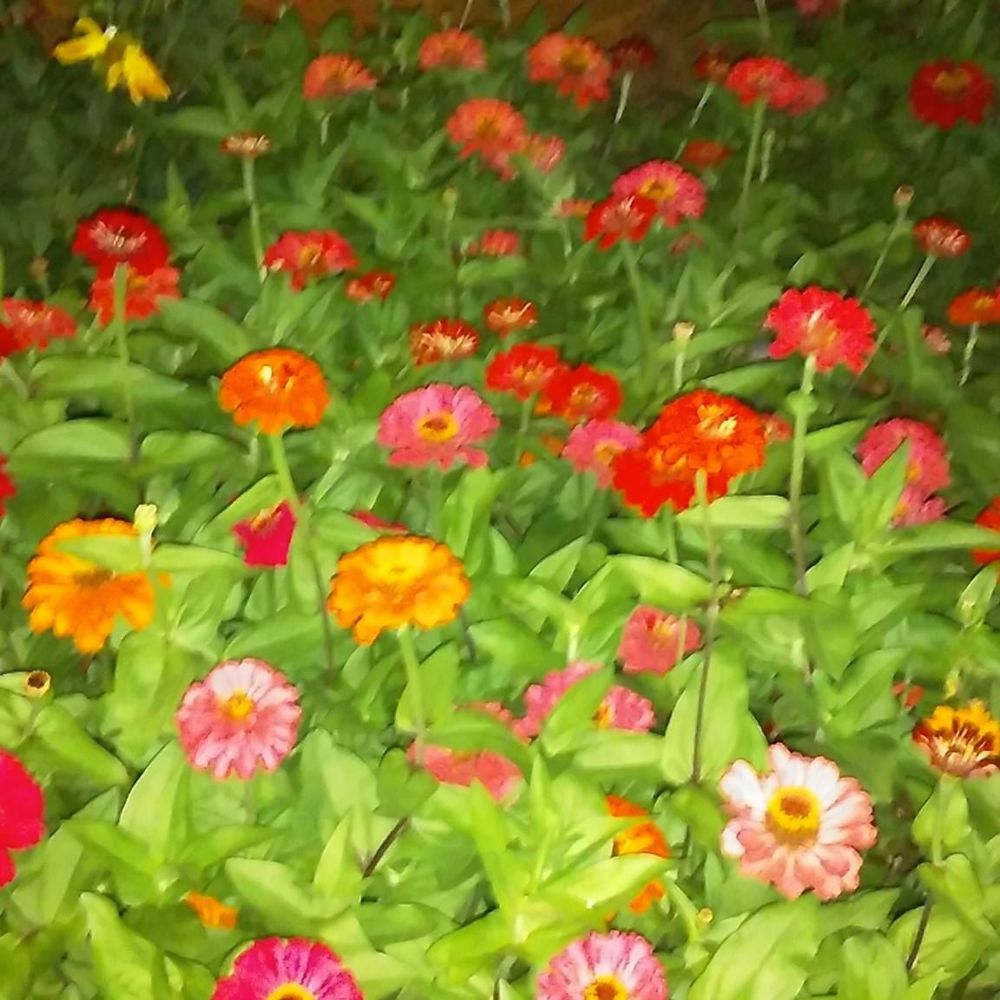 Meet your Posher, Martina